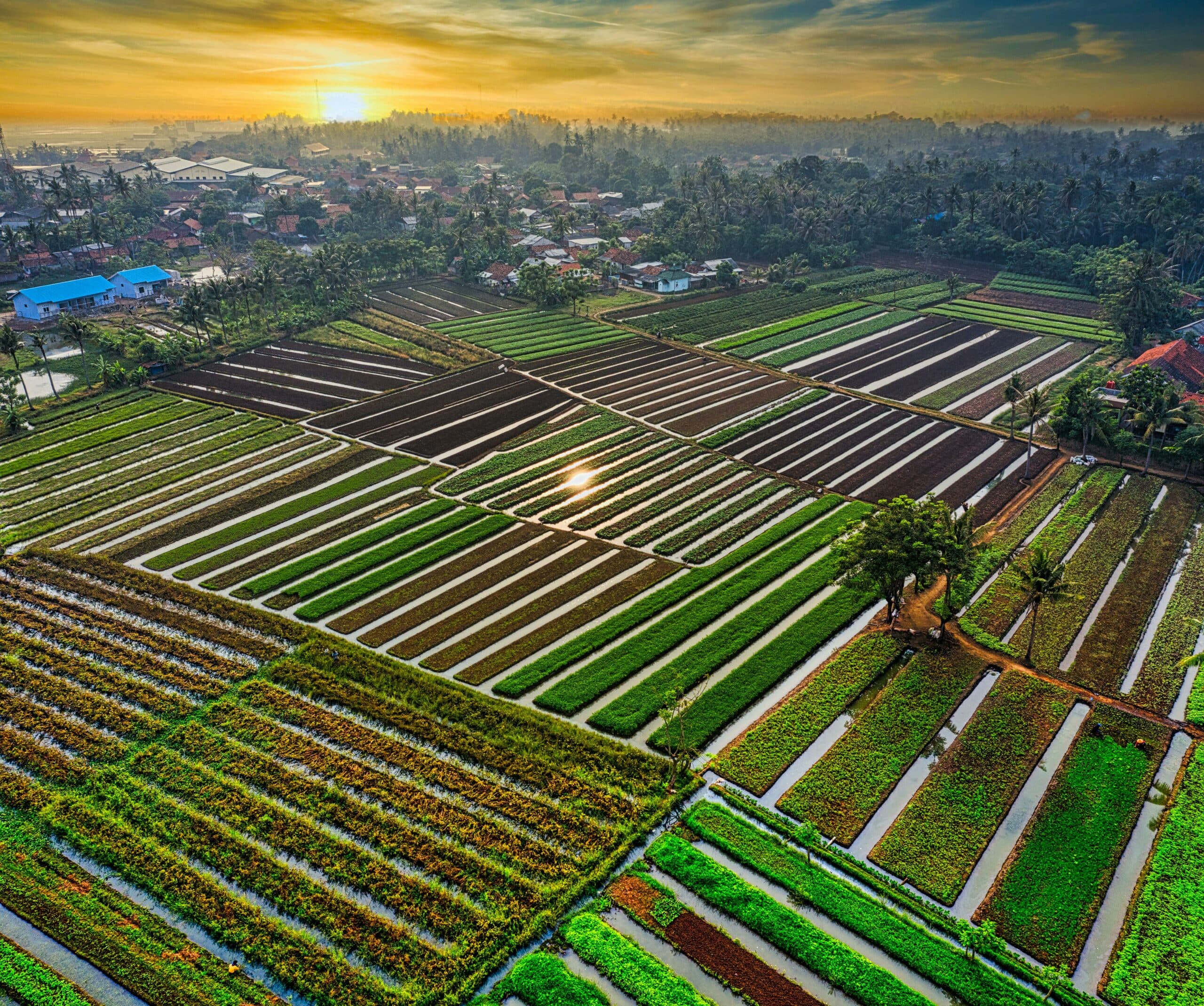 Resource and Agriculture Hub